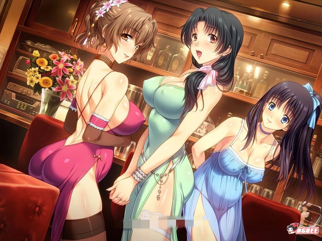 【PC】妻中蜜（1+2+3 合集）【神作SLG/NTR/动态】汉化版+1-3全动画整合-豫语游戏库